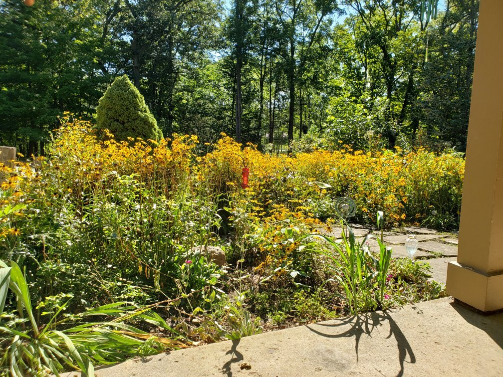 The Safe House Bed and Breakfast主图