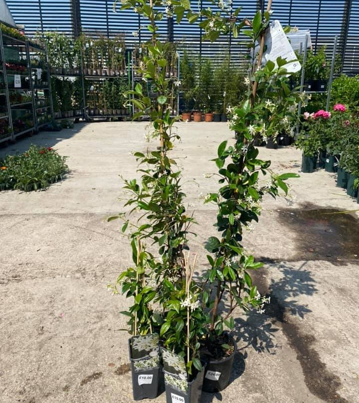 Cuckoo Bridge Nursery & Farm Shop景点图片