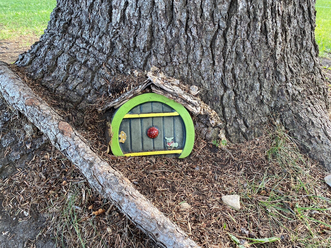 Wolseley Swinging Bridge-Wolseley必去景点