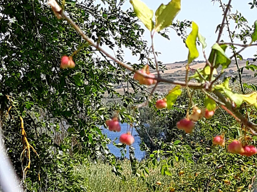 Pantano di Pignola景点图片