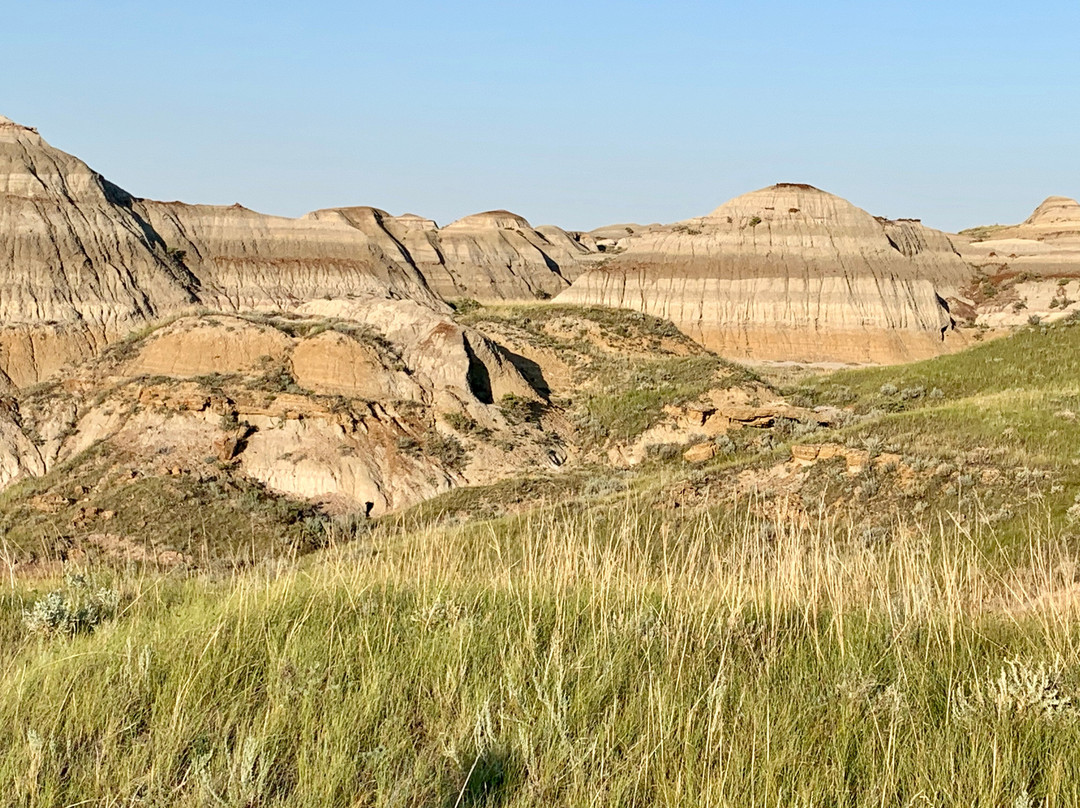 Patricia Hotel主图