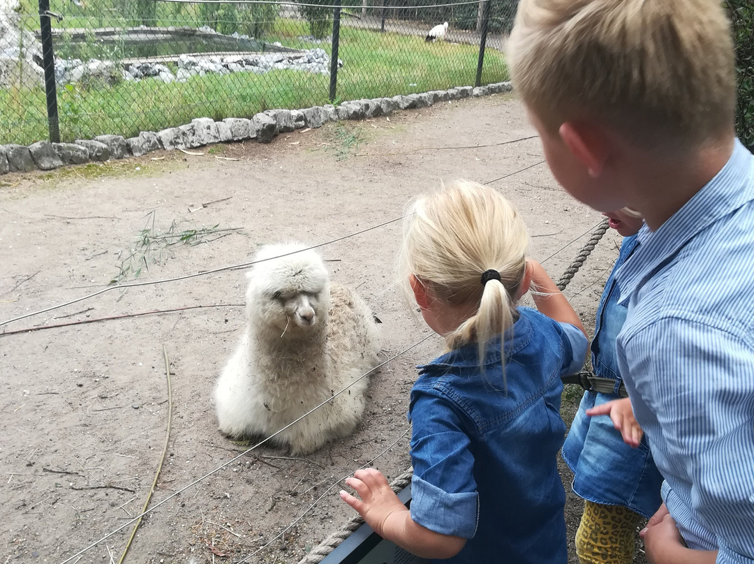 Dierenpark Zie-Zoo景点图片