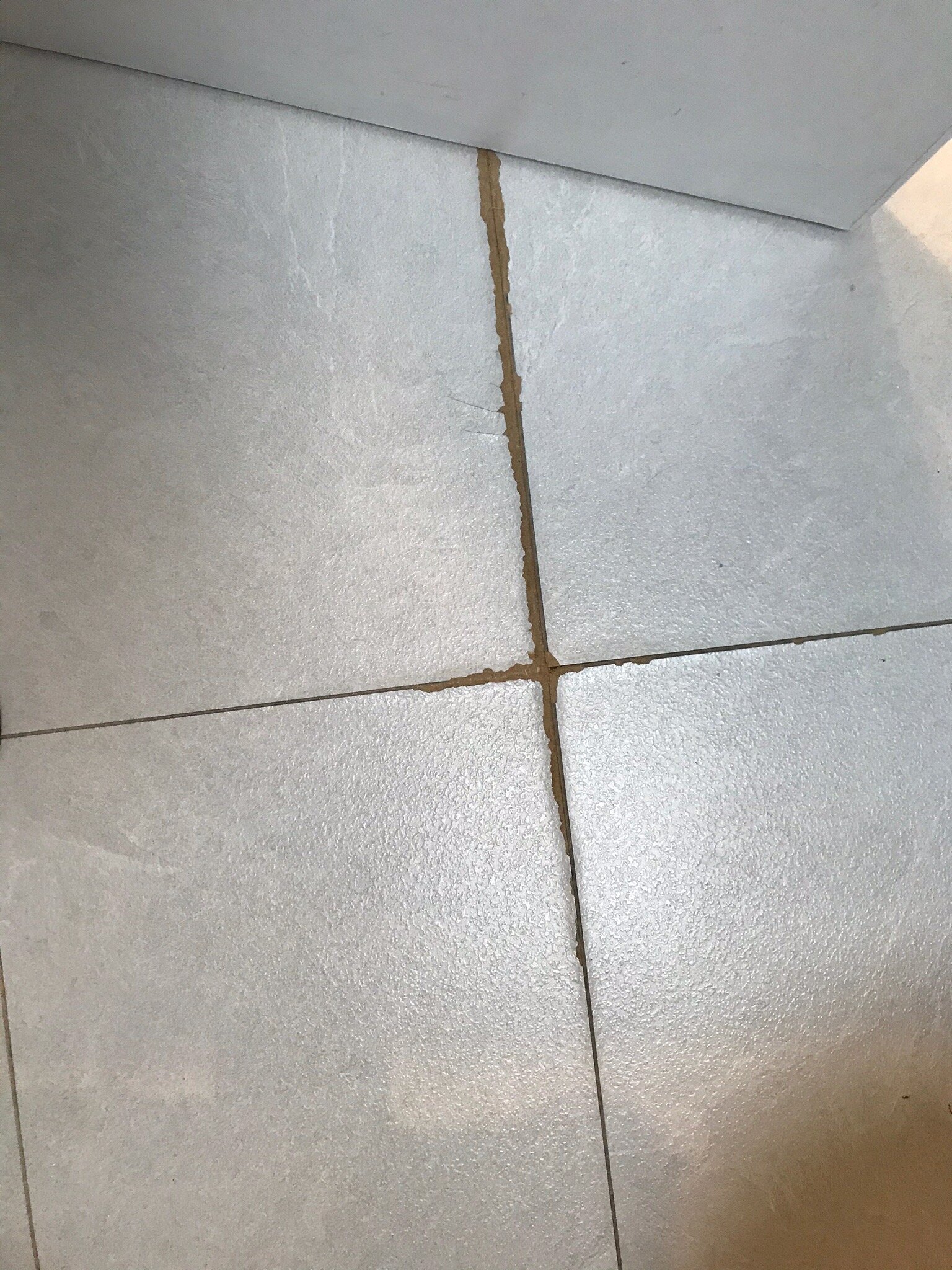 伊斯特科特豪华宾馆-官方