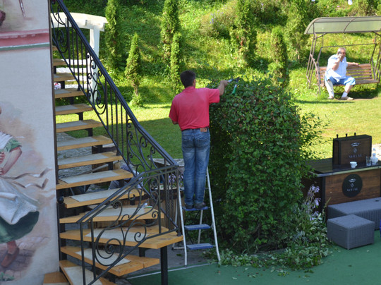 Vedmezhyi Dvir主图