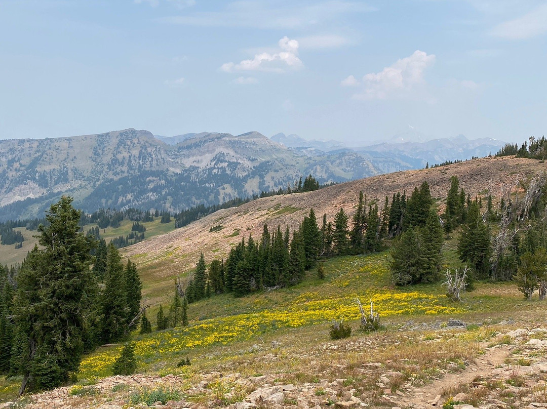 Teton Backcountry Guides-Alta必去景点