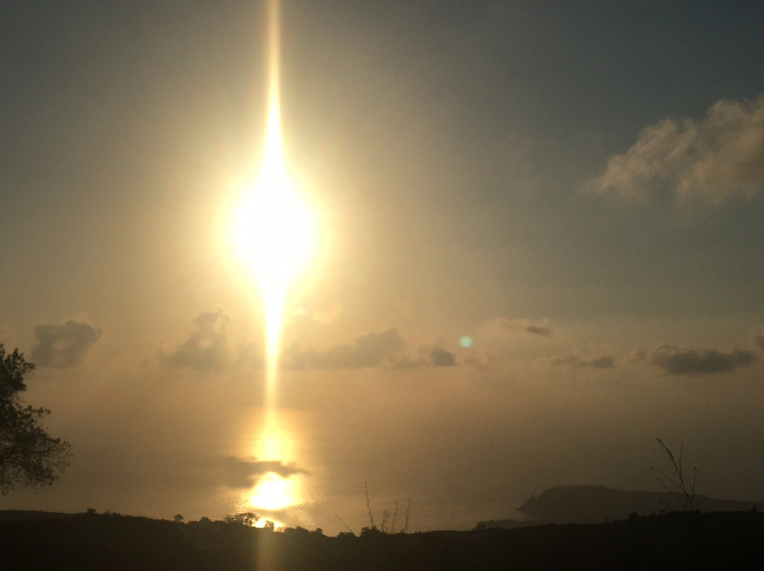 Hotel La Pineta主图