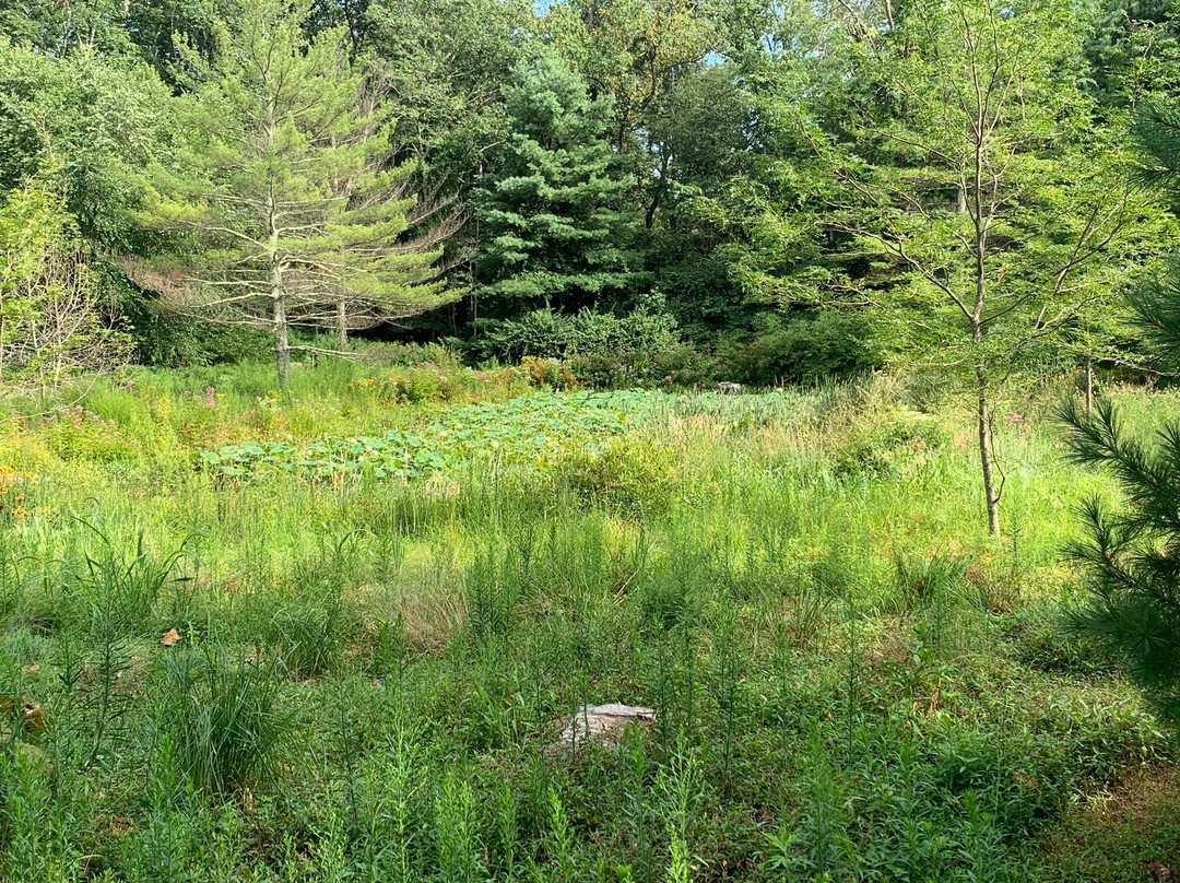 Chatfield Hollow Inn主图