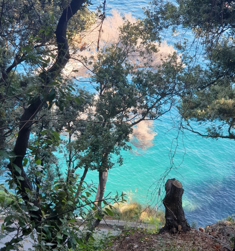 Red Carpet Coastal Walk-拉帕洛必去景点