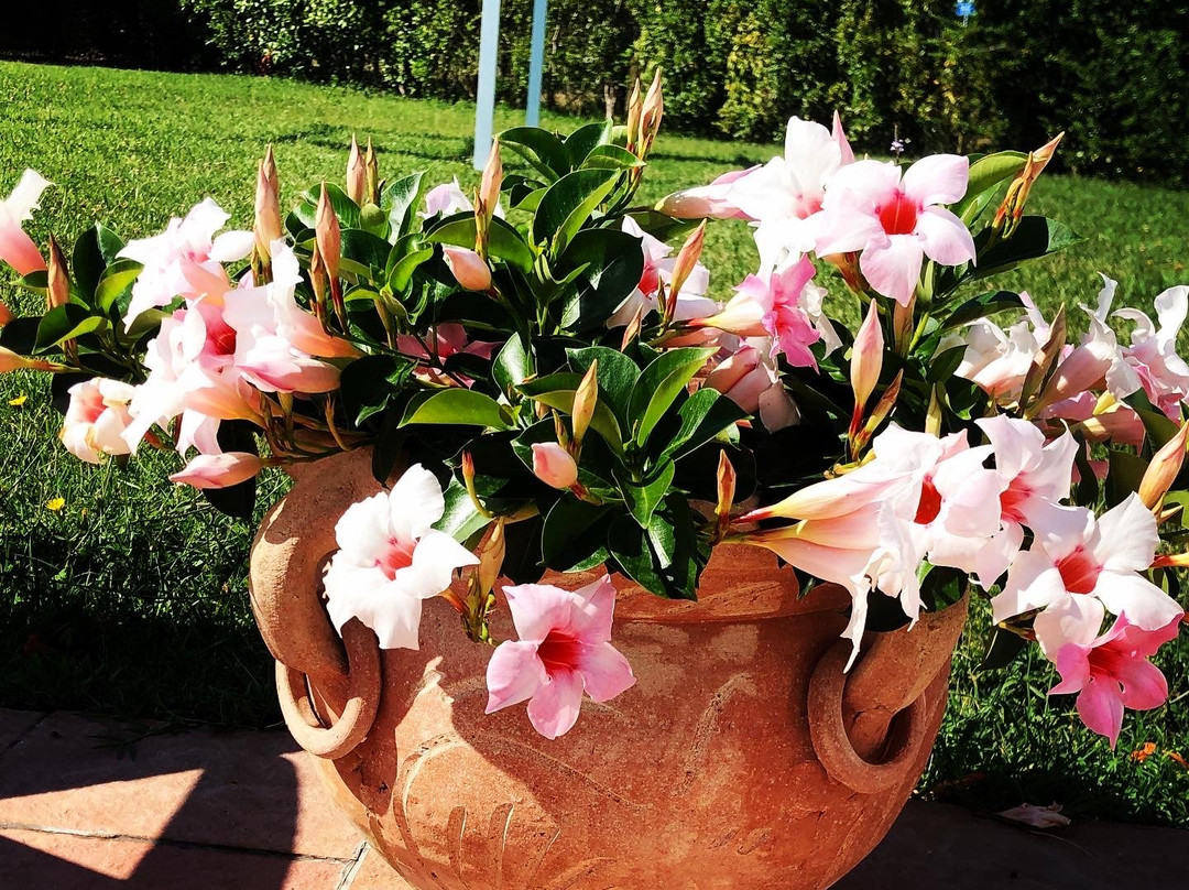 Country House La Torretta主图