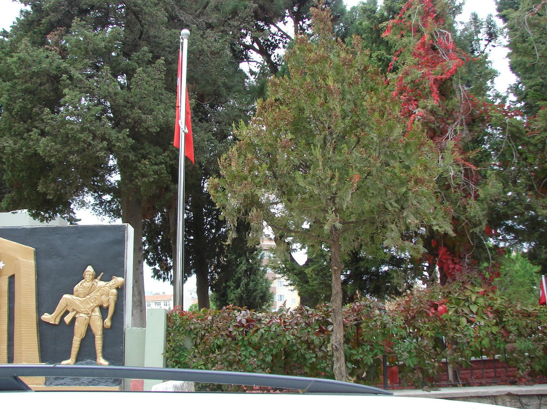 Gelibolu Şehitliği景点图片