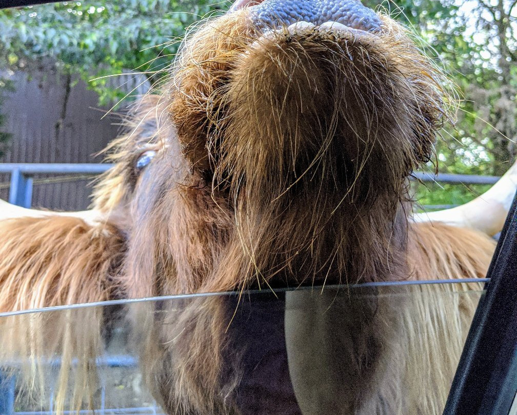 Harmony Park Safari-亨茨维尔必去景点