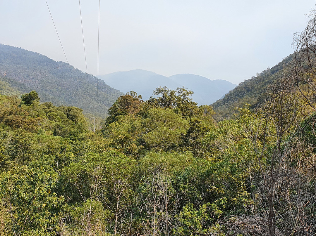 Star Valley Lookout景点图片