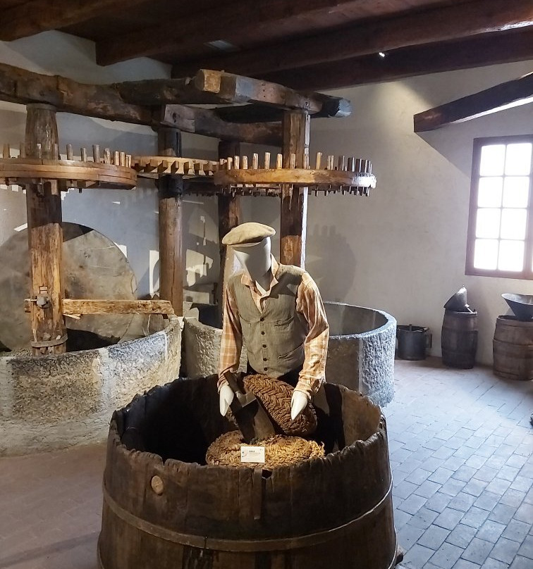 Museo dell'Olivo-因佩里亚必去景点
