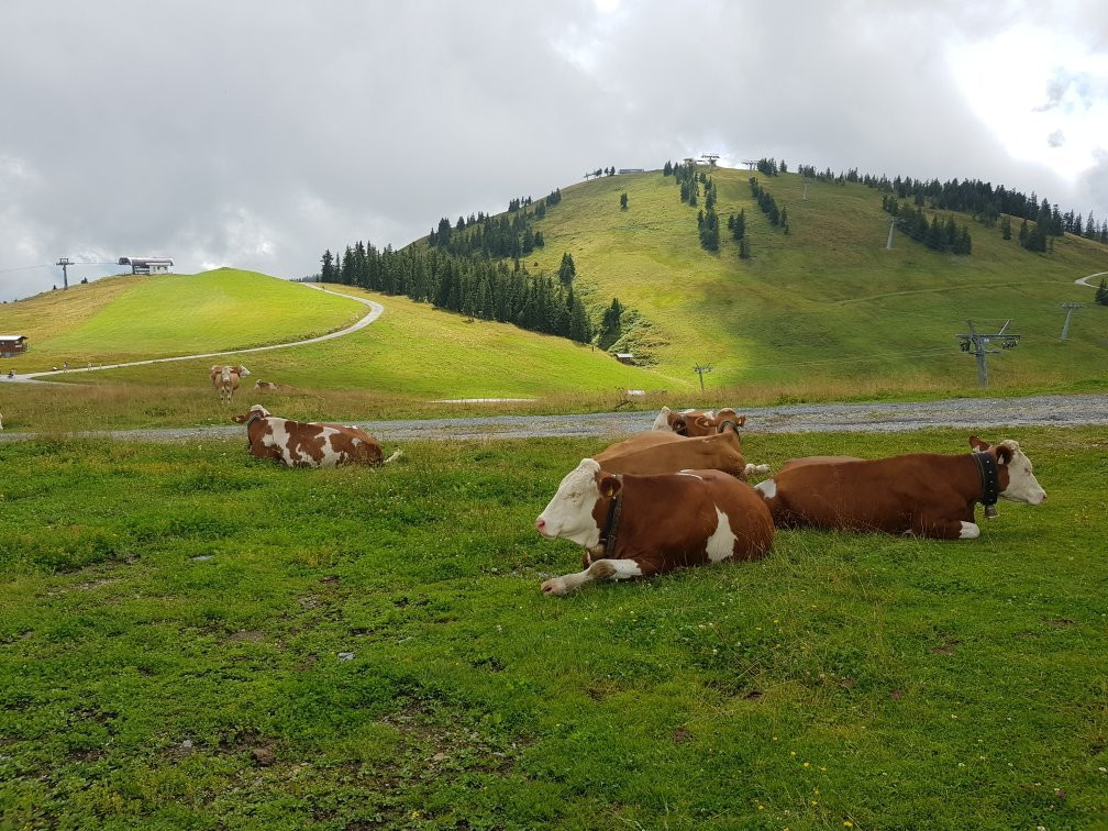KaiserWelt-雪佛野皇必去景点