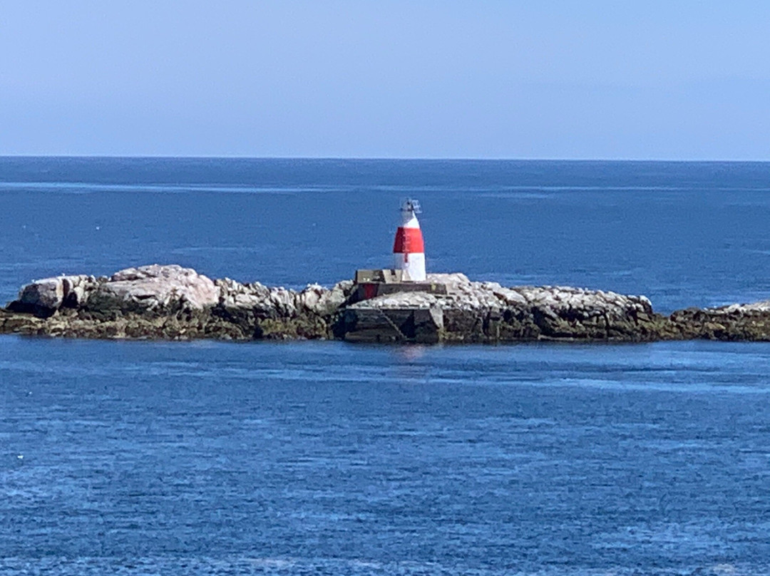 Muglins Lighthouse景点图片