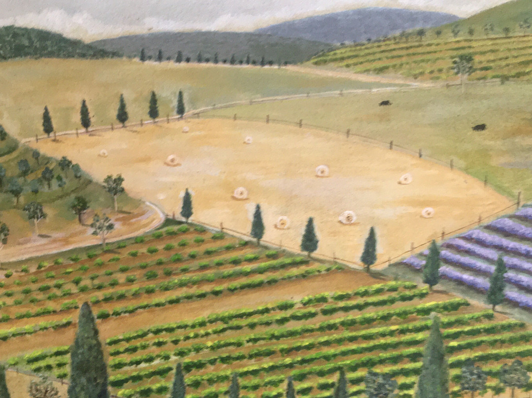 Highland Vines-鲍勒尔必去景点