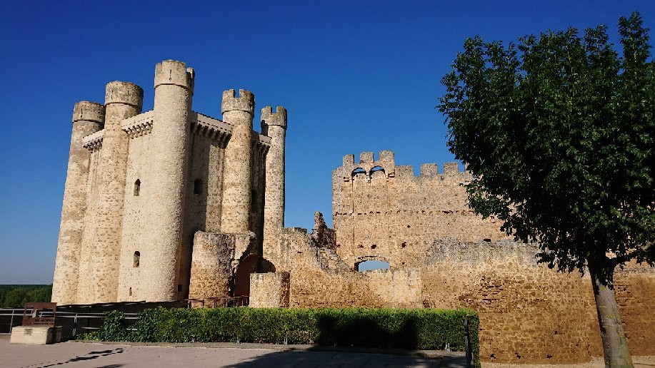Castillo de Coyanza Valencia de Don Juan景点图片