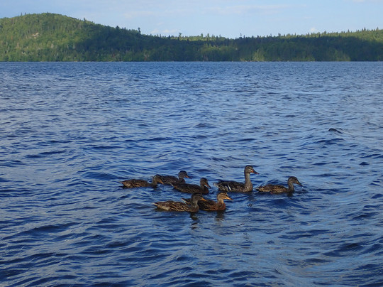 Wakami Lake Provincial Park-Sudbury必去景点