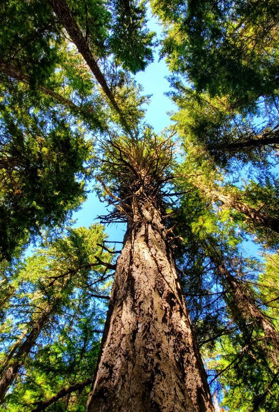 Little Crater Lake-Government Camp必去景点