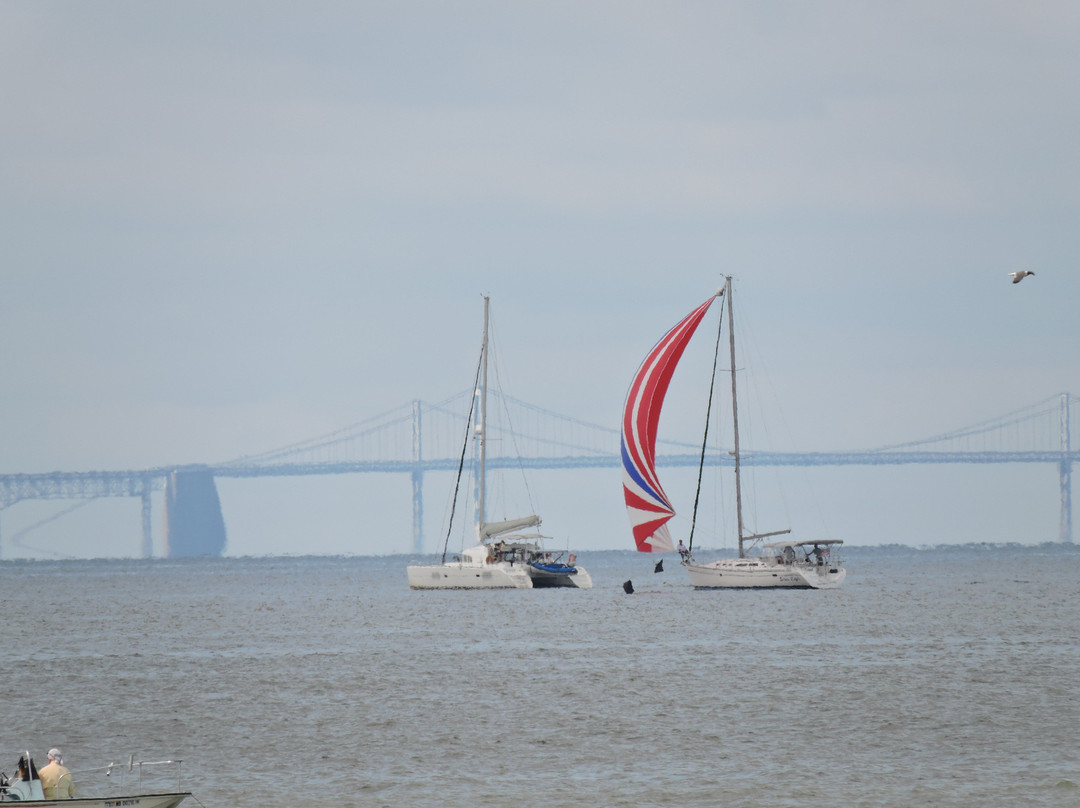 North Point Motel主图