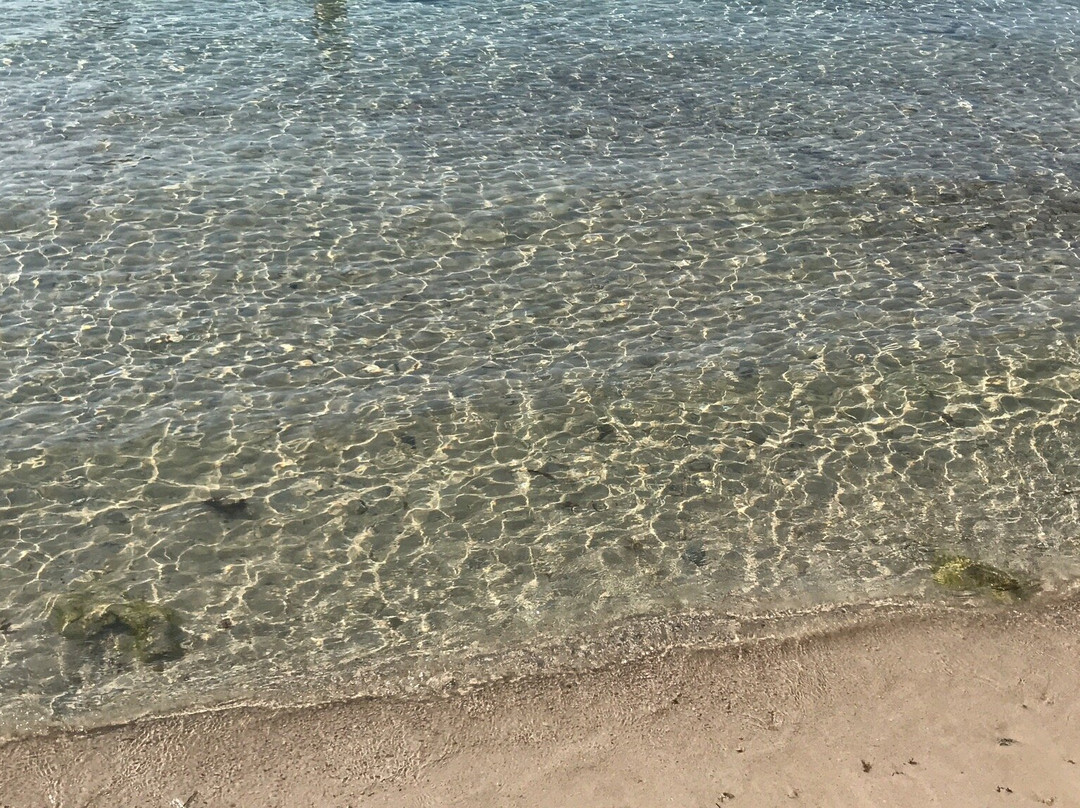 Spiaggia di Torre Squillace-纳尔德奥必去景点