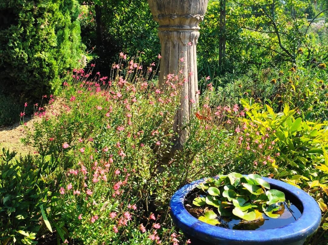 Il Giardino di Casa Biasi景点图片