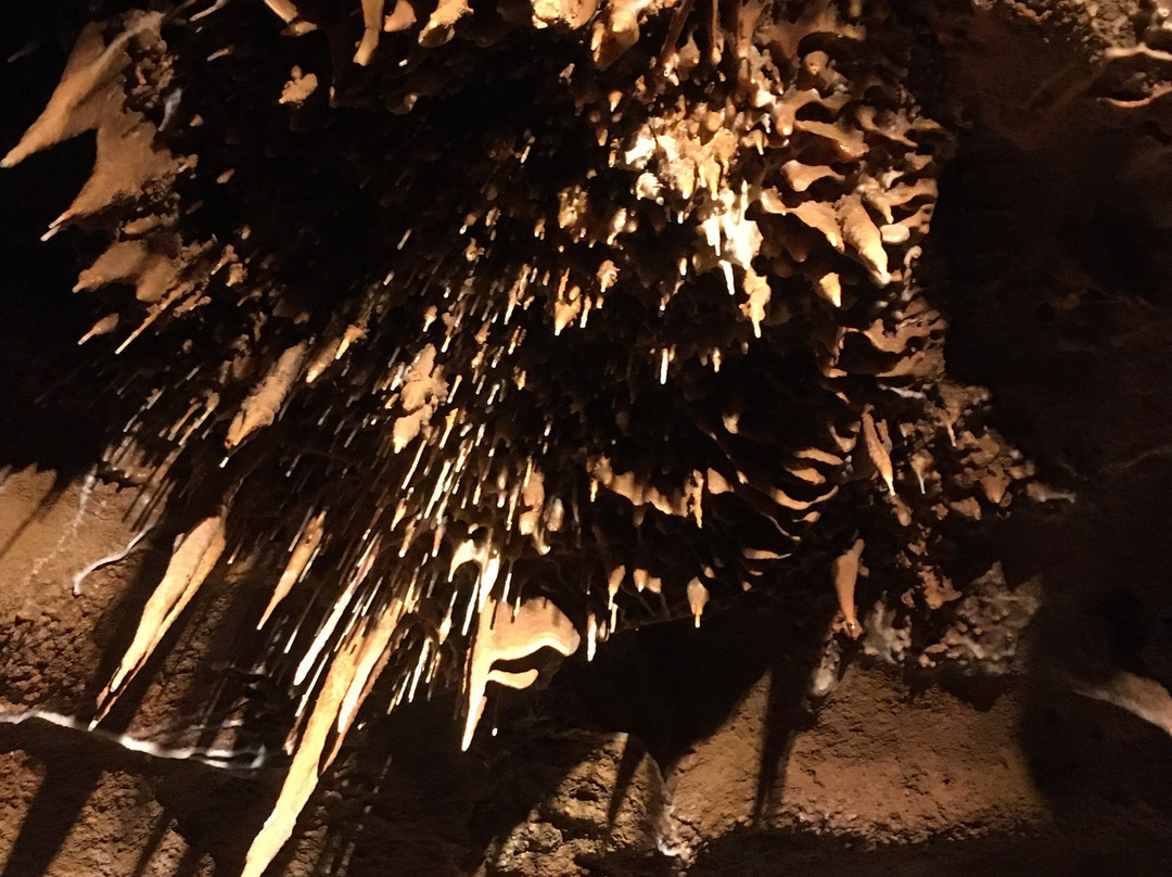 Grotte du Bosc景点图片