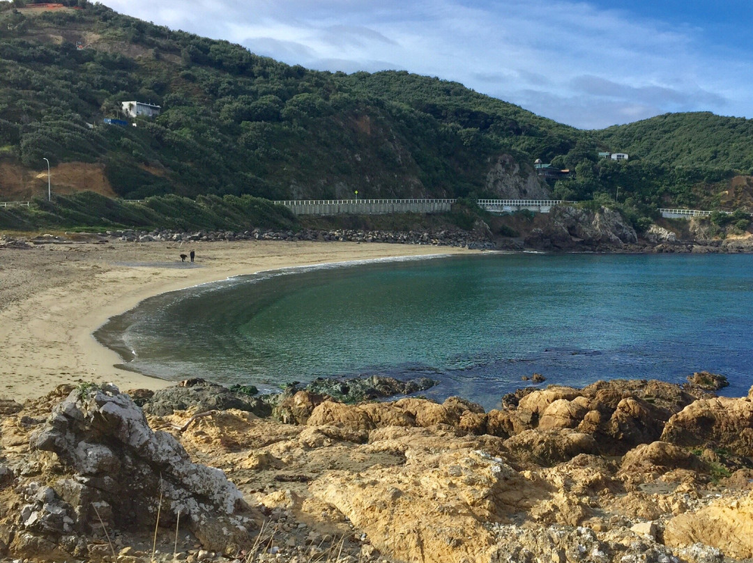 Southern Walkway-惠灵顿必去景点