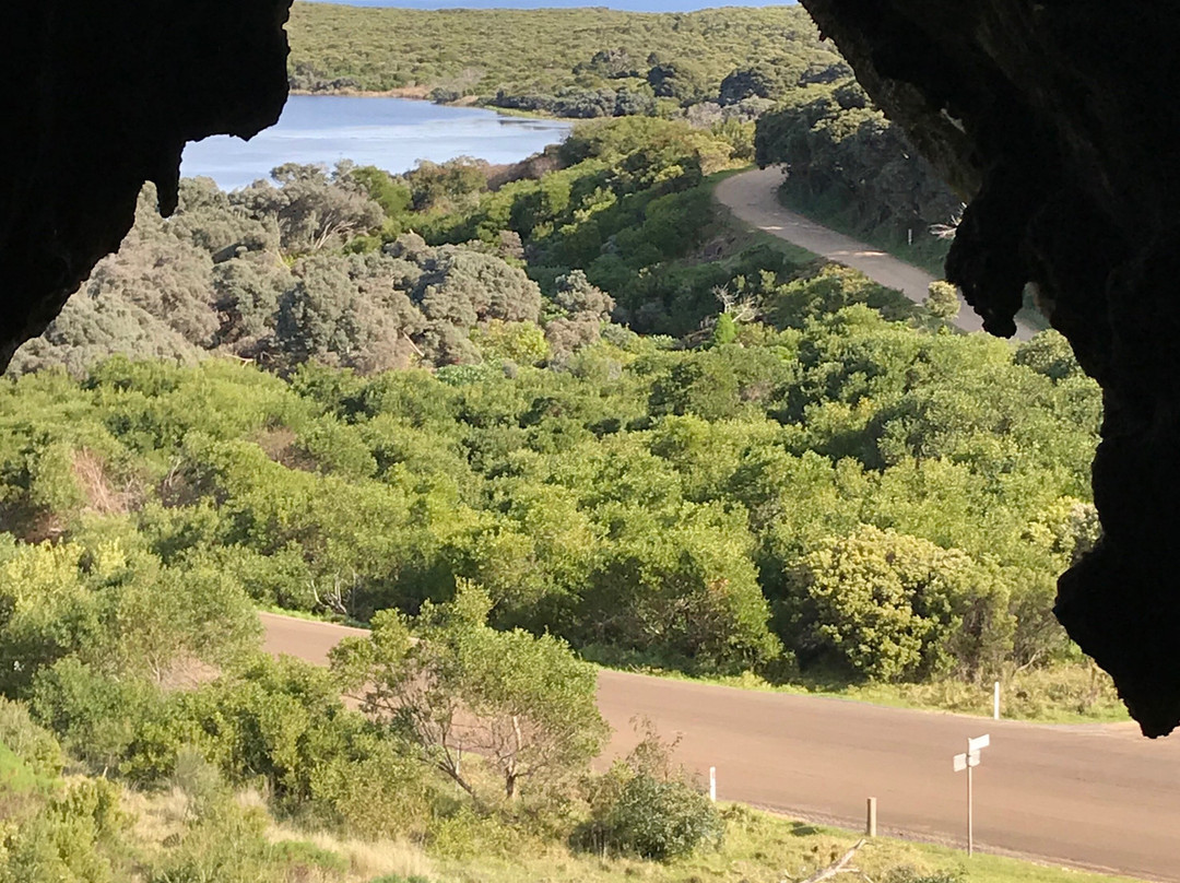 Tarragal Caves-Cape Bridgewater必去景点