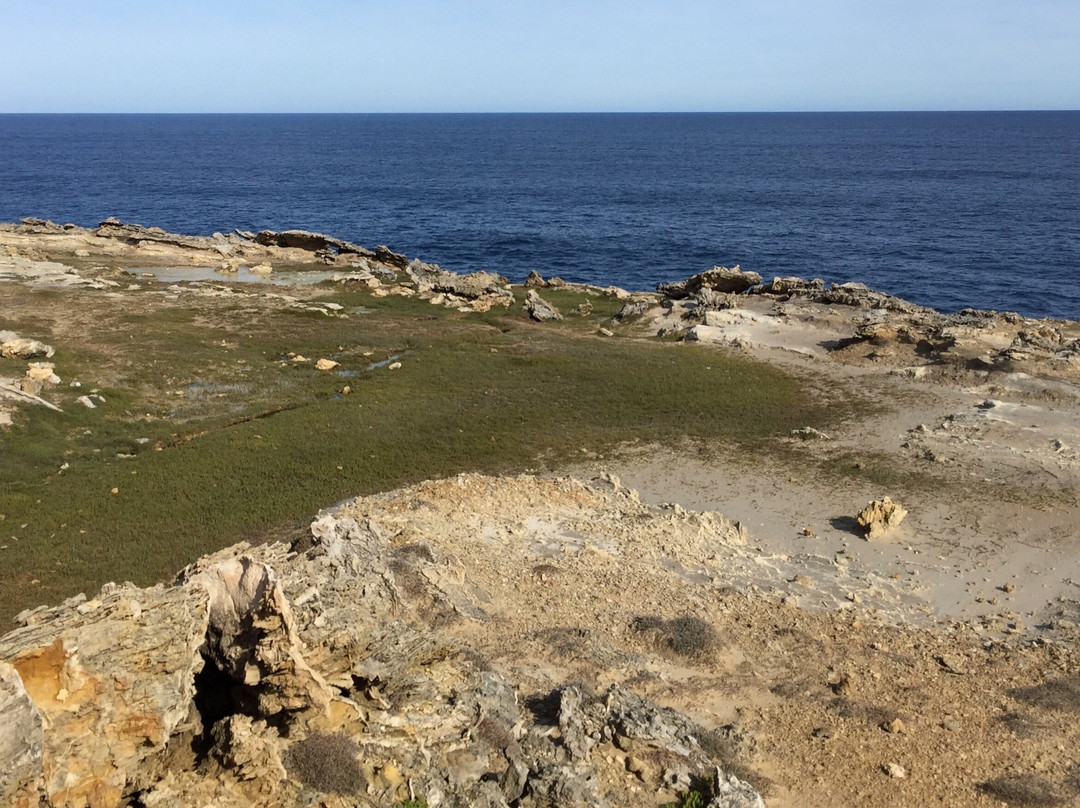 Discovery Bay Marine National Park-Cape Bridgewater必去景点