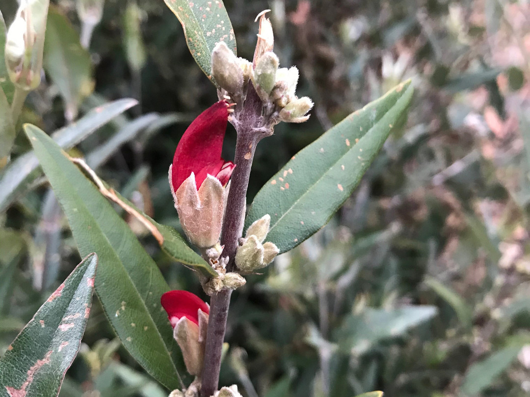 笑翠鸟汽车旅馆主图