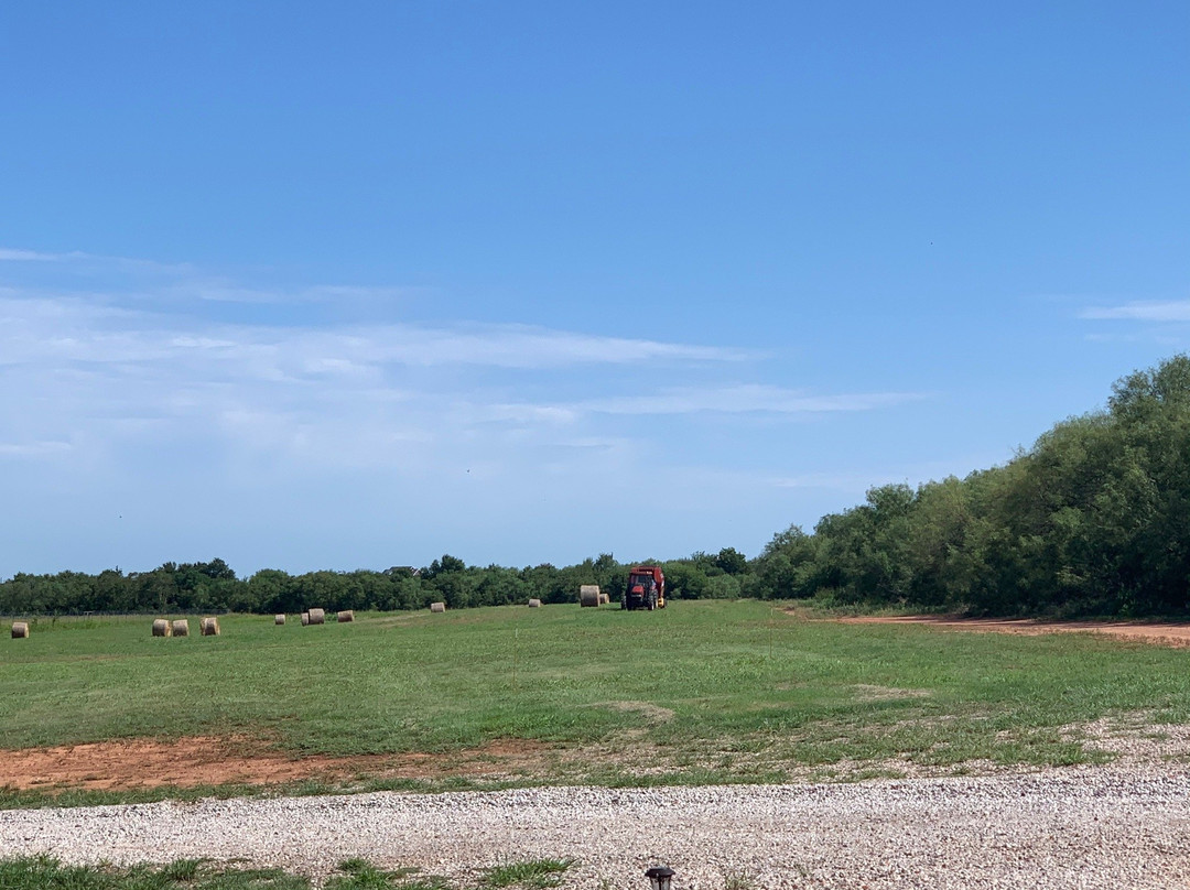 Horseshoe Bend Cellars Vineyard & Winery-Iowa Park必去景点