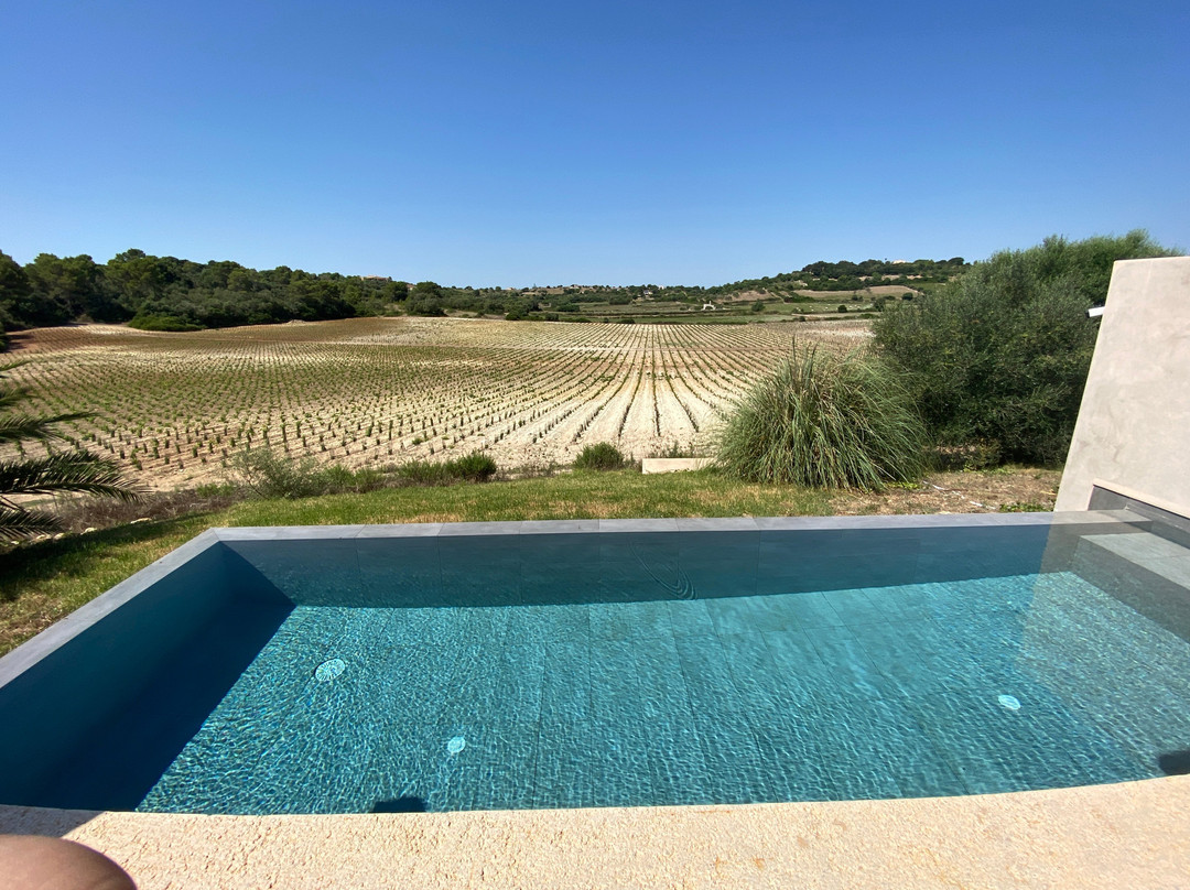 Son Penya Petit Hotel & Spa主图