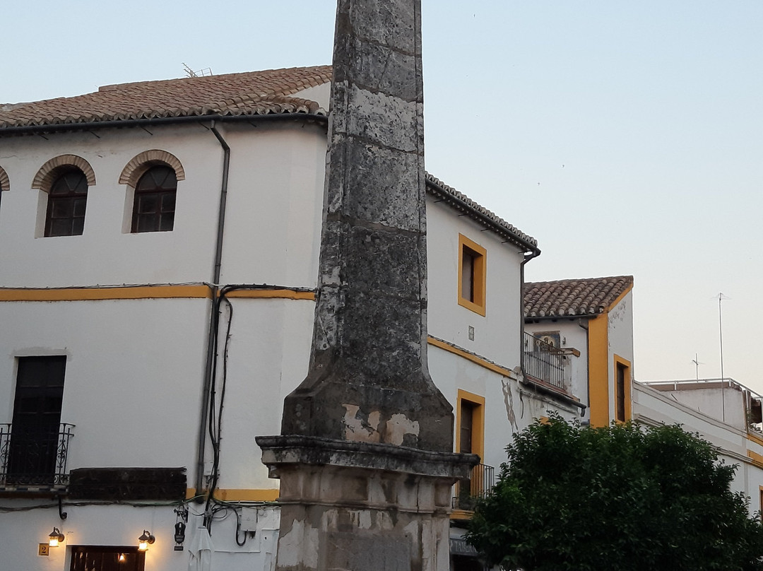 Plaza del Potro景点图片