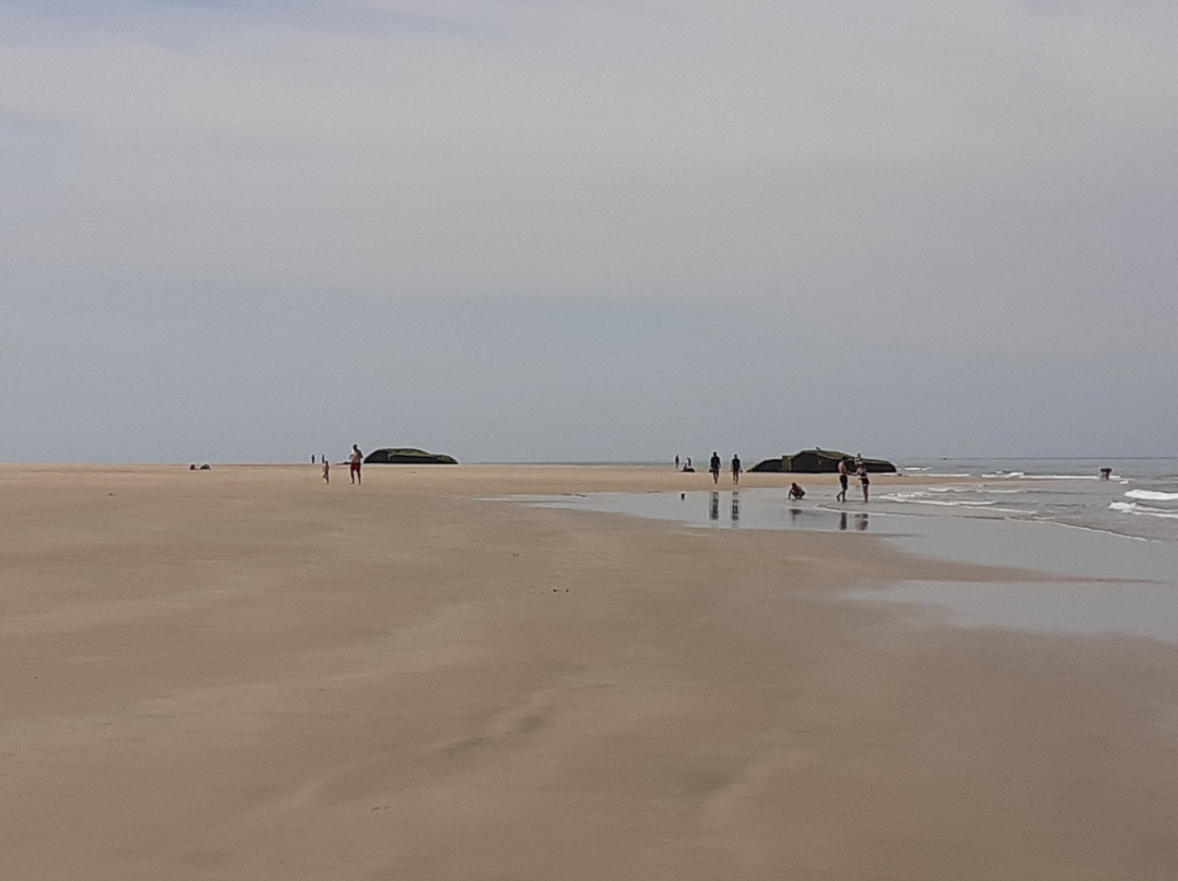 Plage De L'amélie景点图片