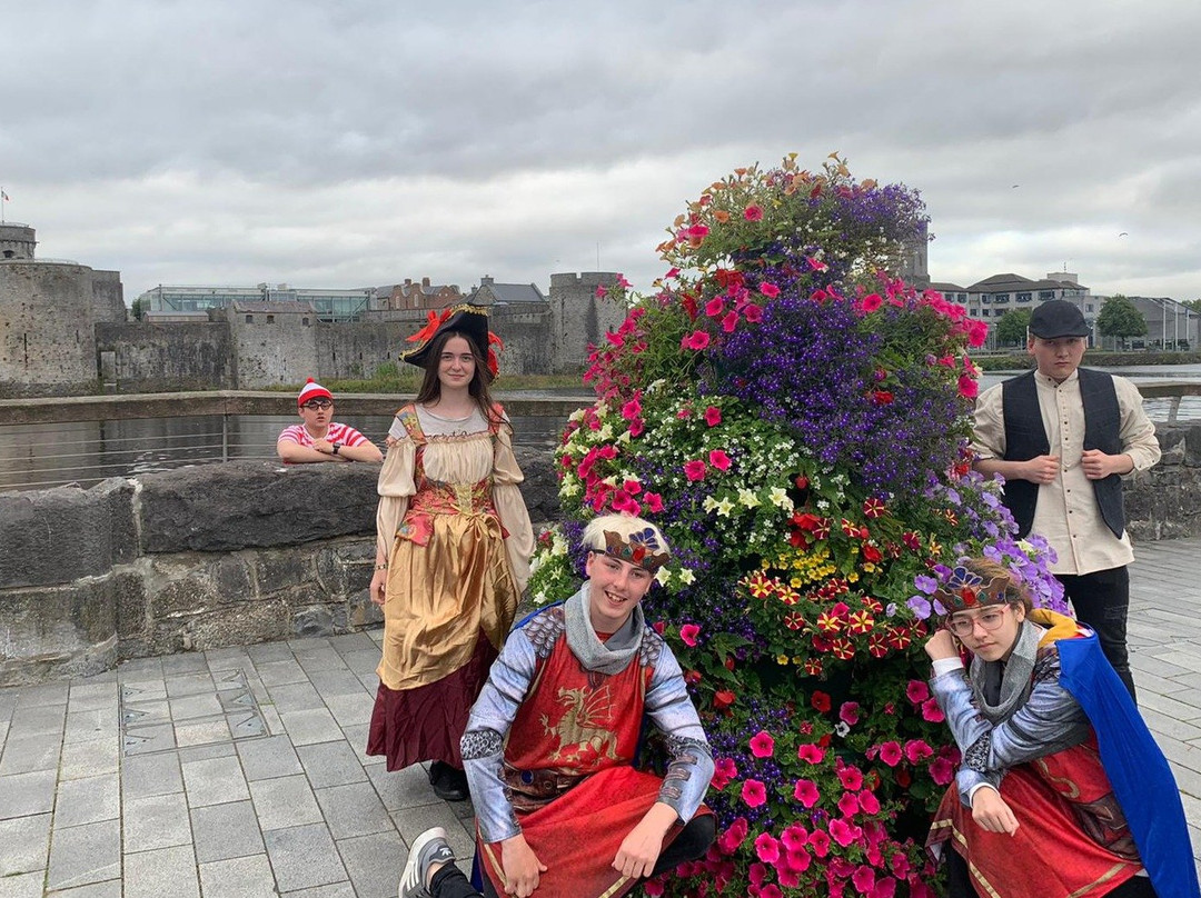 Limerick City Walking Tour-利默里克必去景点