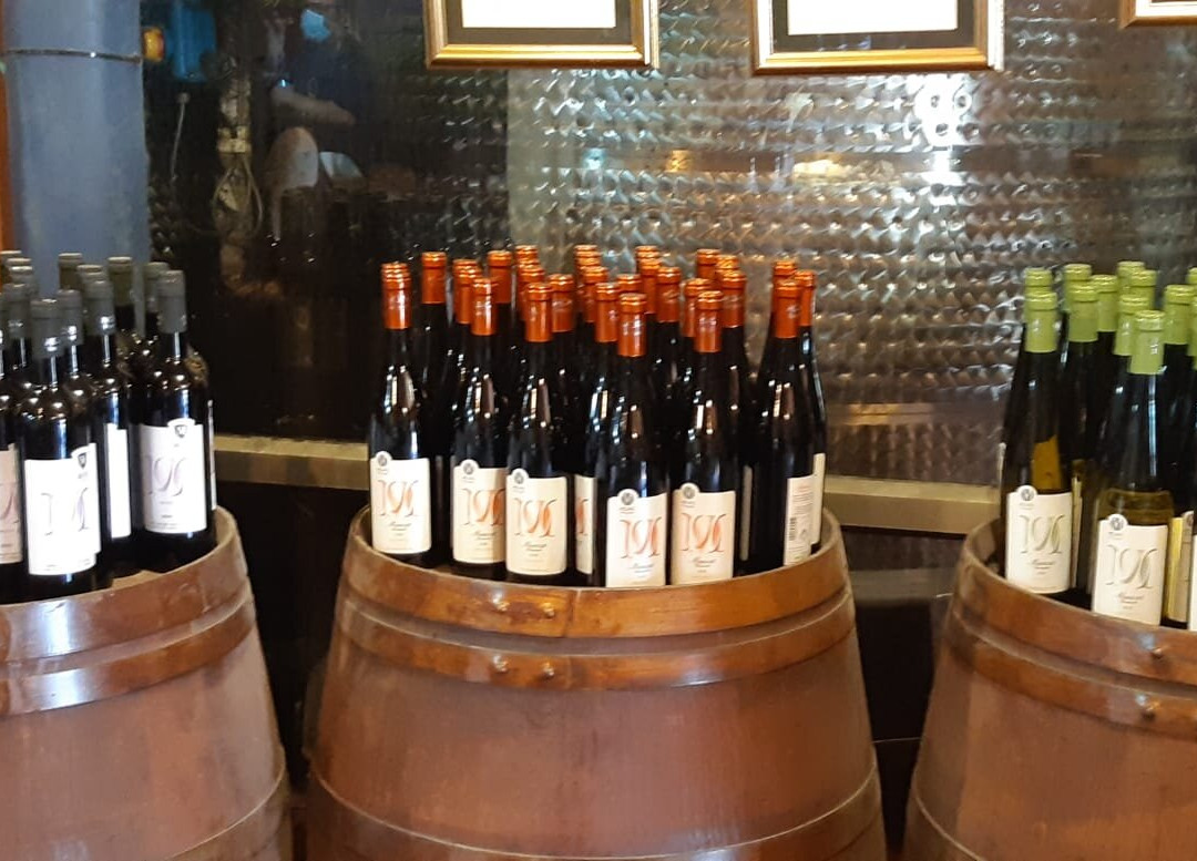 Mony Vineyard-Beit Shemesh必去景点