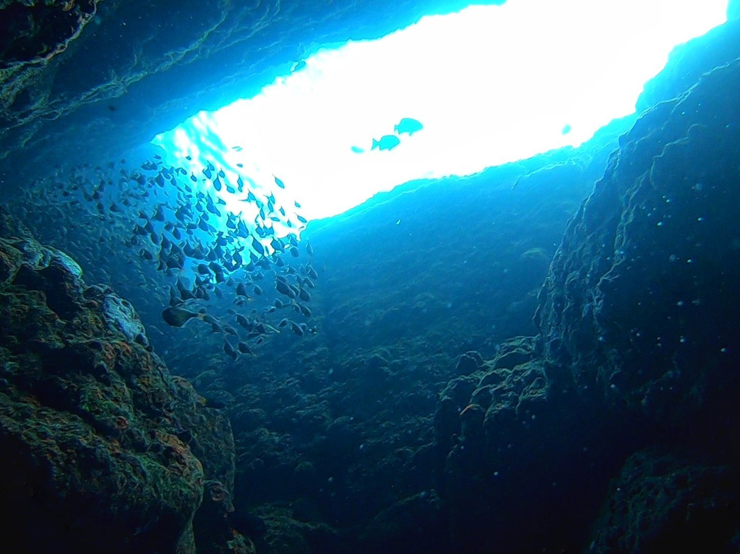 Scuba Safaris Trincomalee-Trincomalee必去景点