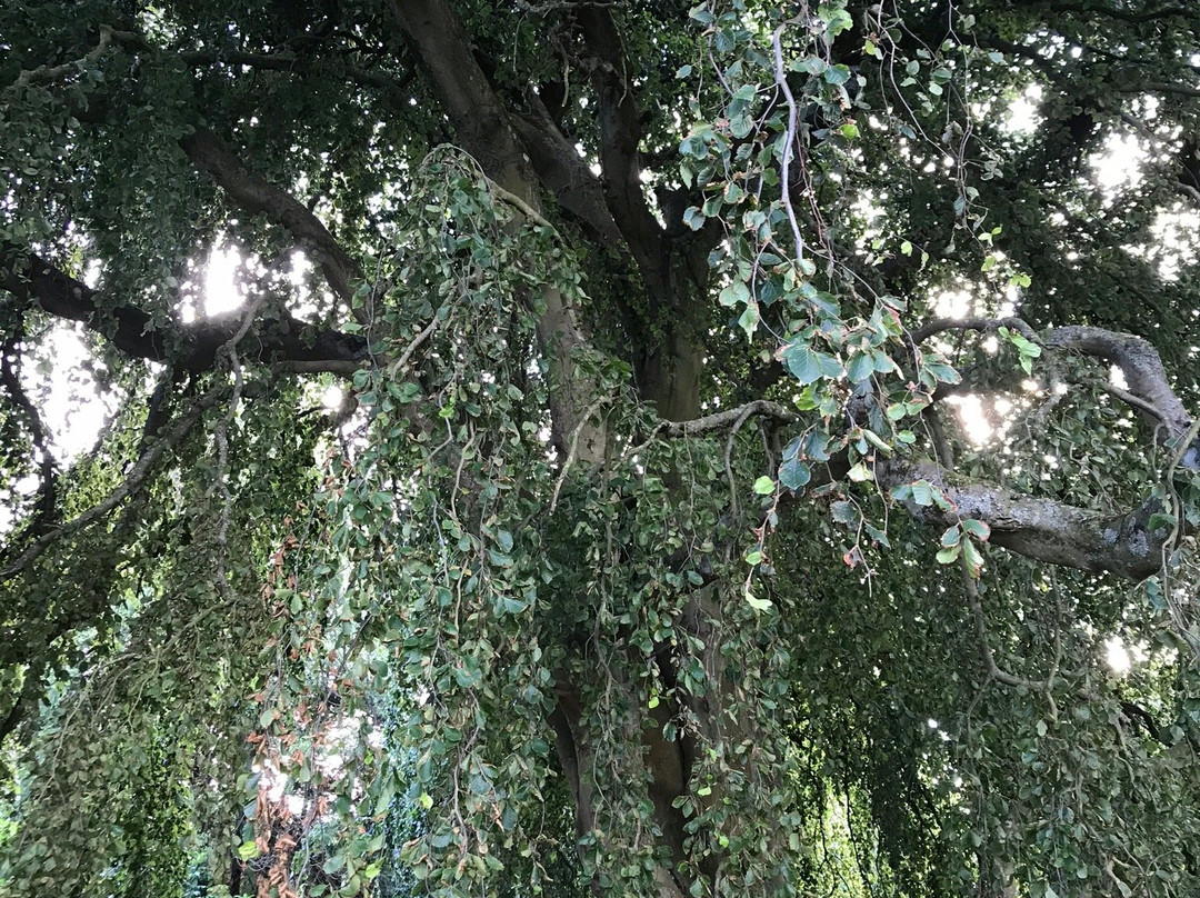 Homeyards Botanical Gardens景点图片