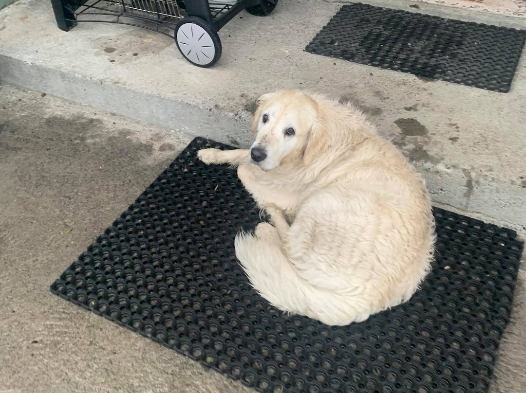 迪姆波贾尼宾馆主图