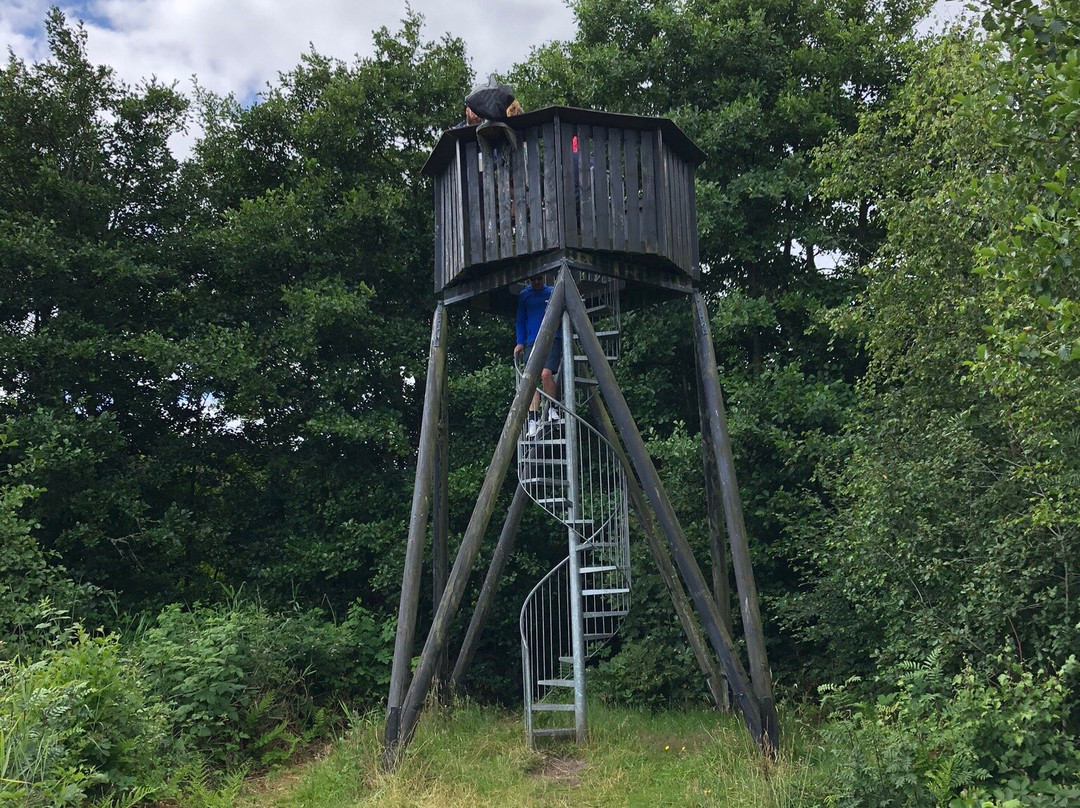 Sonderho Gl. Fuglekoje-法诺必去景点