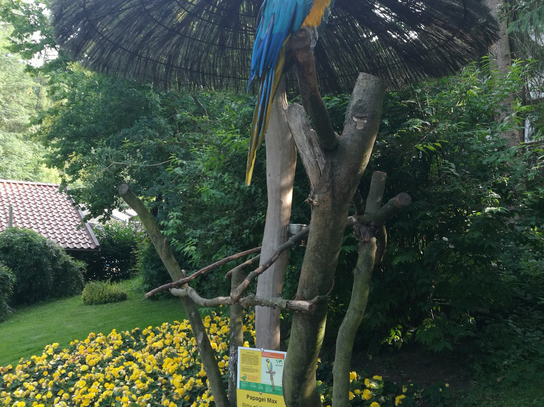 Vogelpark Heiligenkirchen景点图片