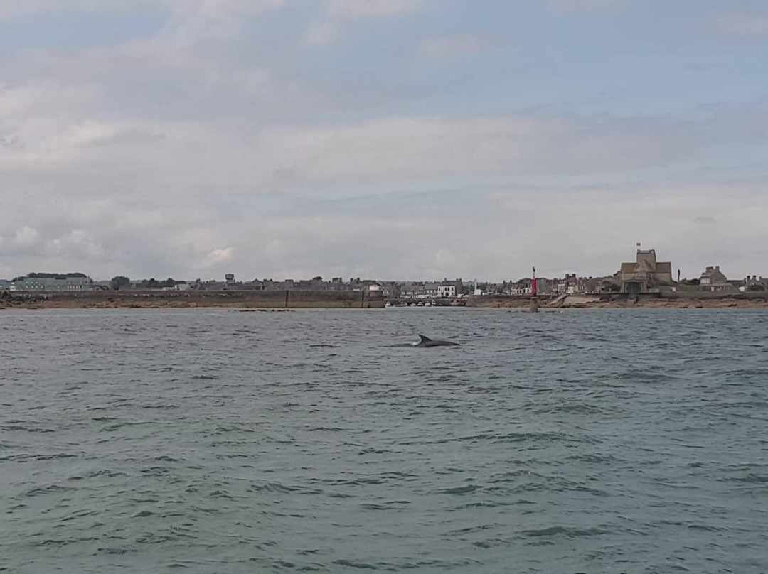 Barfleur en mer景点图片