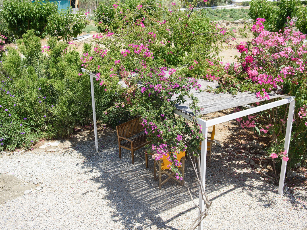 Porto Katapola Pension主图