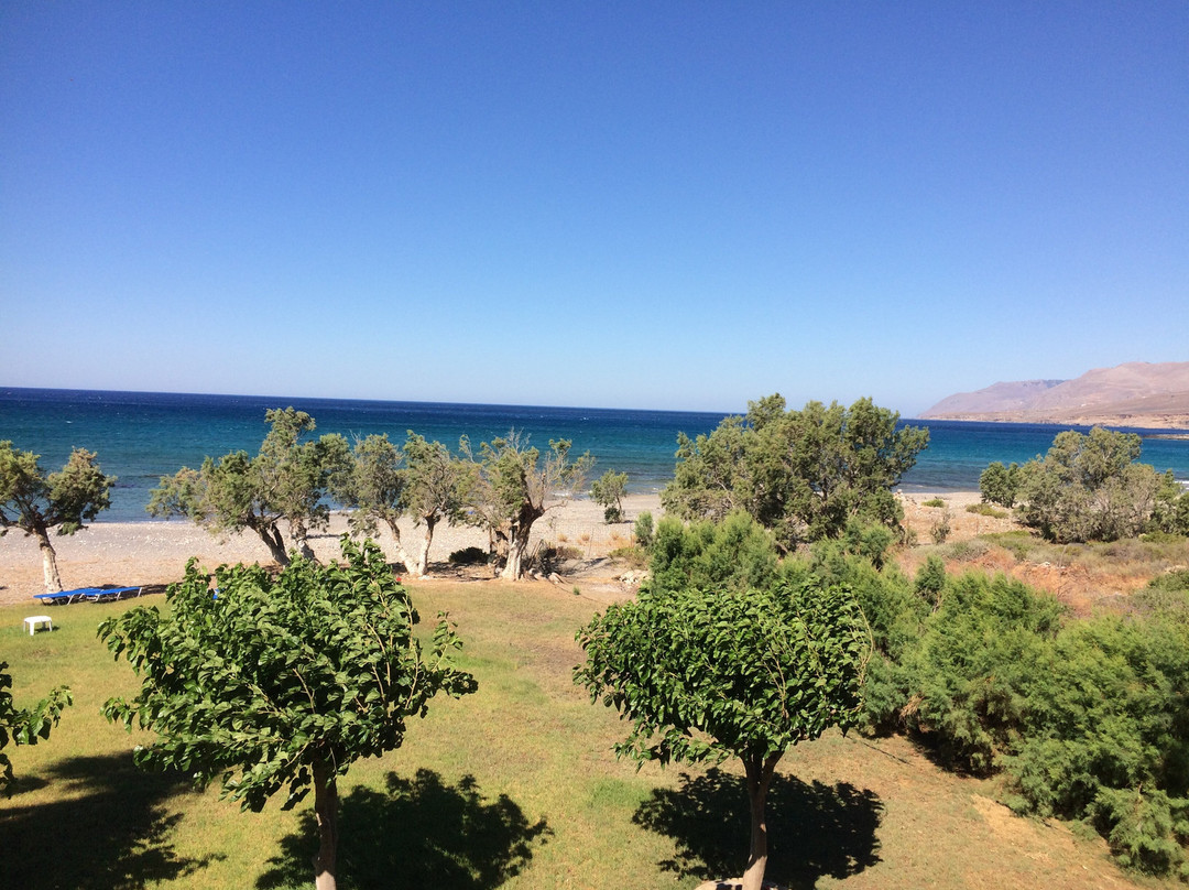 Studios Stavris主图