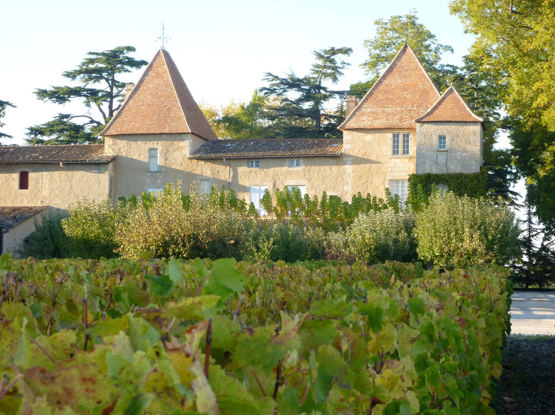 Château Carbonnieux景点图片
