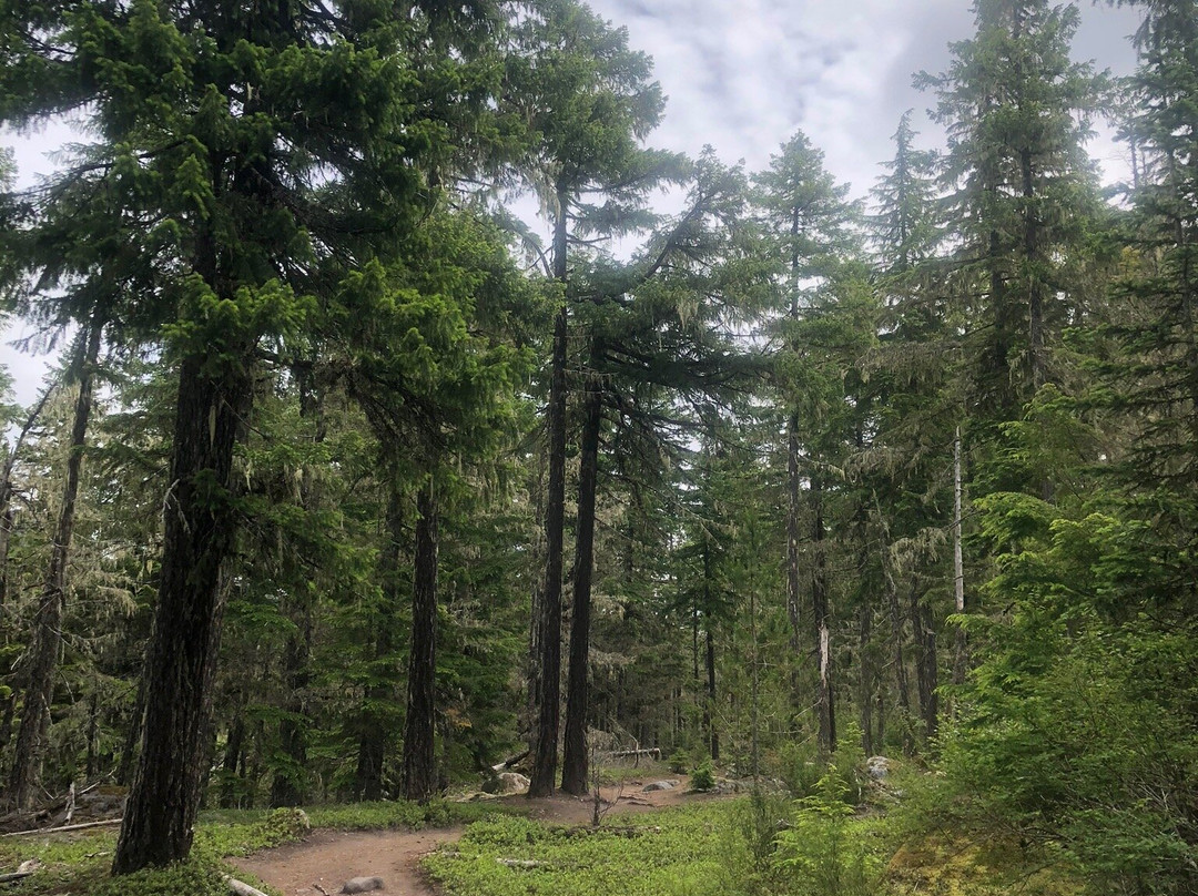 Ramona Falls Trail-Rhododendron必去景点
