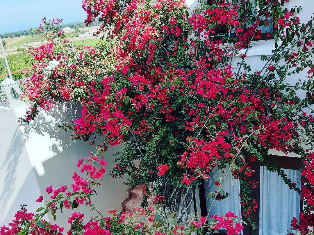 达尔马纳尔酒店主图