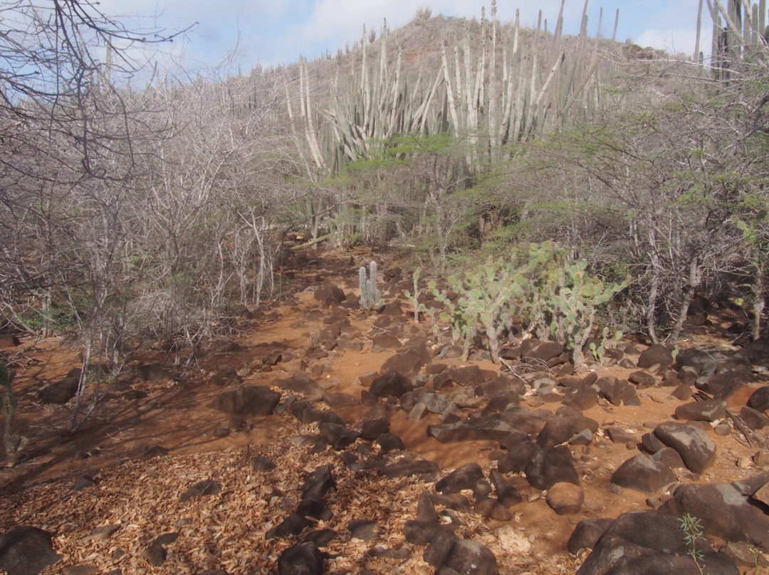 Kasikunda Climbing Trail-Washington-Slagbaai National Park必去景点