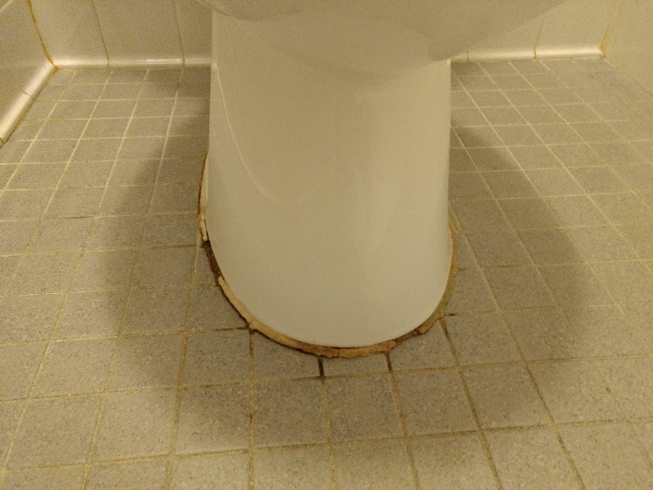 AmericInn by Wyndham Park Rapids主图